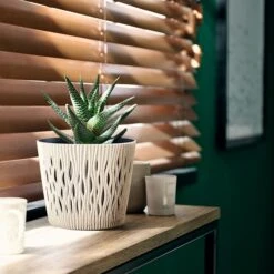 Prosperplast Macetero Verde,con Depósito SANDY ROUND 22,5x22,5x19,2cm5 L -Jardín Series Tienda 17e12e688ff411a8