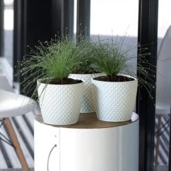 Prosperplast Maceta ORIENT 3,5L 189x189x167 Crema -Jardín Series Tienda 1d15551399a2a6ef