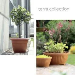 Jardín Series Tienda -Jardín Series Tienda 2859932e883a3b0c