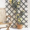 Celosía Extensible Rombos Trelliflex De PVC Verde Nortene 144 X 21 Cm -Jardín Series Tienda 3260821702065 21c BI