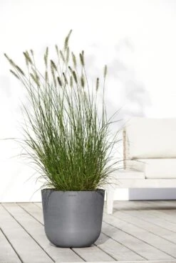 Ecopots Maceta Redonda Oslo 35 Gris - ø 35 X H. 30,5 Cm - 21,7 L -Jardín Series Tienda 35d2b85efc36b1f4