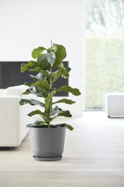 Ecopots Maceta Redonda Oslo 35 Gris - ø 35 X H. 30,5 Cm - 21,7 L -Jardín Series Tienda 39547e15b14c7ae1