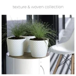 Jardín Series Tienda -Jardín Series Tienda 3ae74b87a3f54867