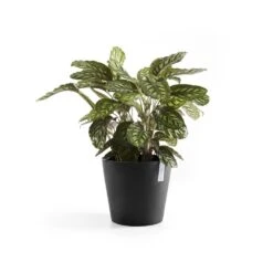 Ecopots Maceta Redonda Amsterdam 25 Gris Oscuro - ø 25,4 X H. 24,5 Cm - 9,7 L -Jardín Series Tienda 428beb68f9377b8f