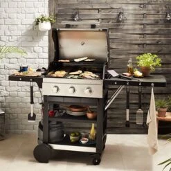 Barbacoa De Gas Owsley 3.0 Goodhome