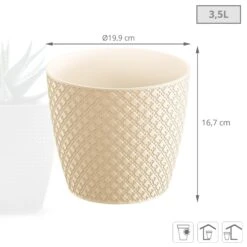 Prosperplast Maceta ORIENT 3,5L 189x189x167 Crema -Jardín Series Tienda 5f724492471e4301