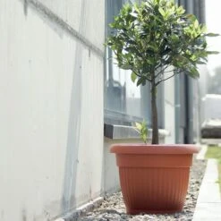 Prosperplast Maceta TERRA 27L., 450x450x350, Color Antracita -Jardín Series Tienda 63853164636c52.49548571