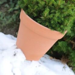 Prosperplast Maceta CLASSIC 67L., 580x580x470, Color Antracita 9 Prosperplast Maceta CLASSIC 67L., 580x580x470, Color Antracita -Jardín Series Tienda 6385361074f792.74786565