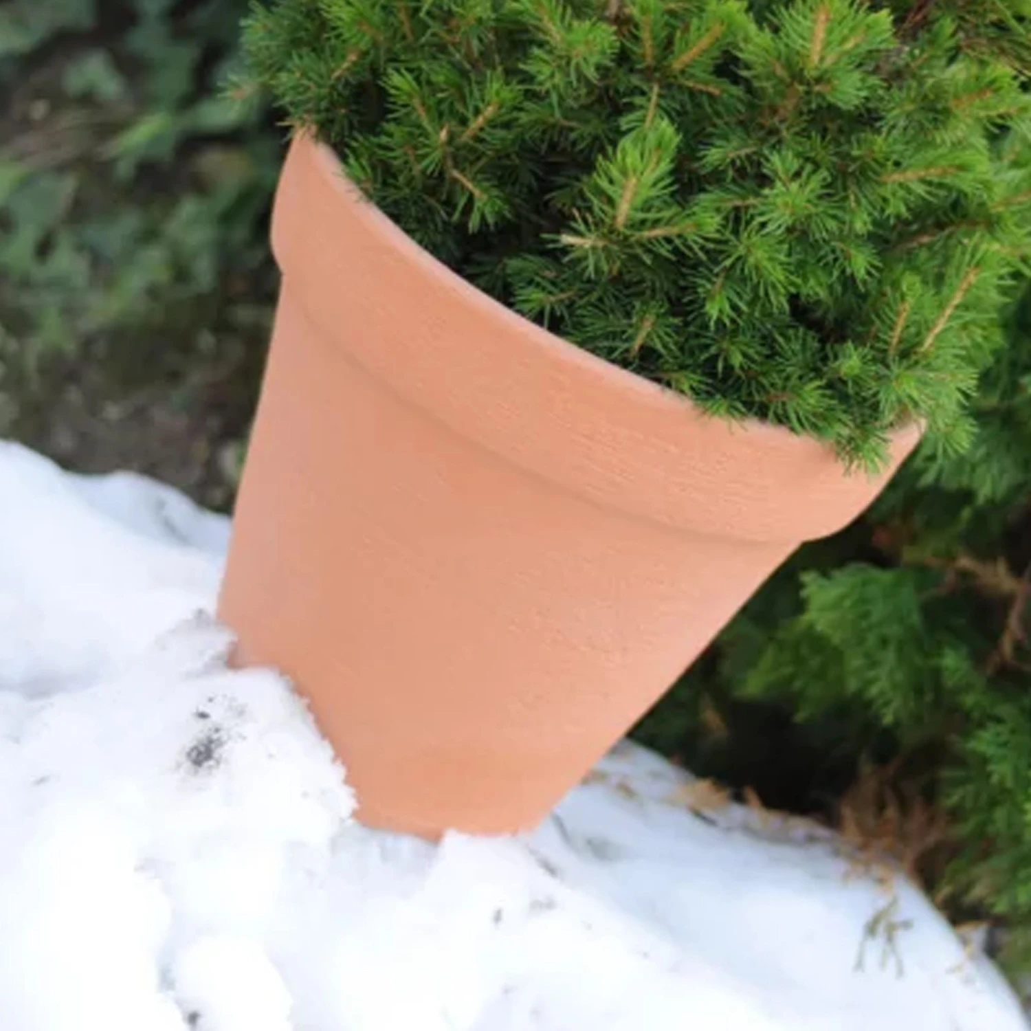 Prosperplast Maceta CLASSIC 67L., 580x580x470, Color Antracita 5 Prosperplast Maceta CLASSIC 67L., 580x580x470, Color Antracita - Imagen 3