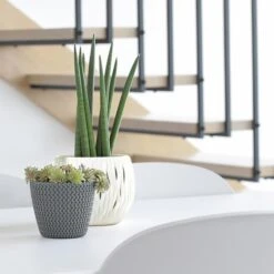 Prosperplast Maceta Redonda 18,6L Maceta Splofy De Plastico Color Blanco, Ø34,1 X28,9 Cm -Jardín Series Tienda 63853833d79ed3.93636001