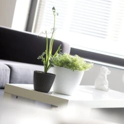 Prosperplast Maceta Redonda 18,6L Maceta Splofy De Plastico Color Blanco, Ø34,1 X28,9 Cm -Jardín Series Tienda 63853834175c73.99431240