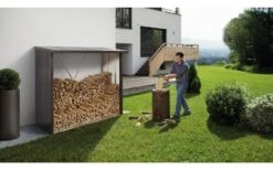 CASETA LEÑERO METALICA BIOHORT JARDIN WOODSTOCK 150 COLOR PLATA 13 CASETA LEÑERO METALICA BIOHORT JARDIN WOODSTOCK 150 COLOR PLATA -Jardín Series Tienda 639ad0e0a54aa8.21646580