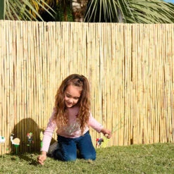 Cañizo Partido 2 X 5 M -Jardín Series Tienda 8431978100034 23c BI