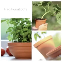 Jardín Series Tienda -Jardín Series Tienda 847c9d30b1f9b841