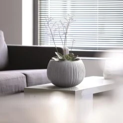 Prosperplast Breton Bowl Con Deposito 8 Prosperplast Breton Bowl Con Deposito -Jardín Series Tienda c86d20b1ef8a8d09