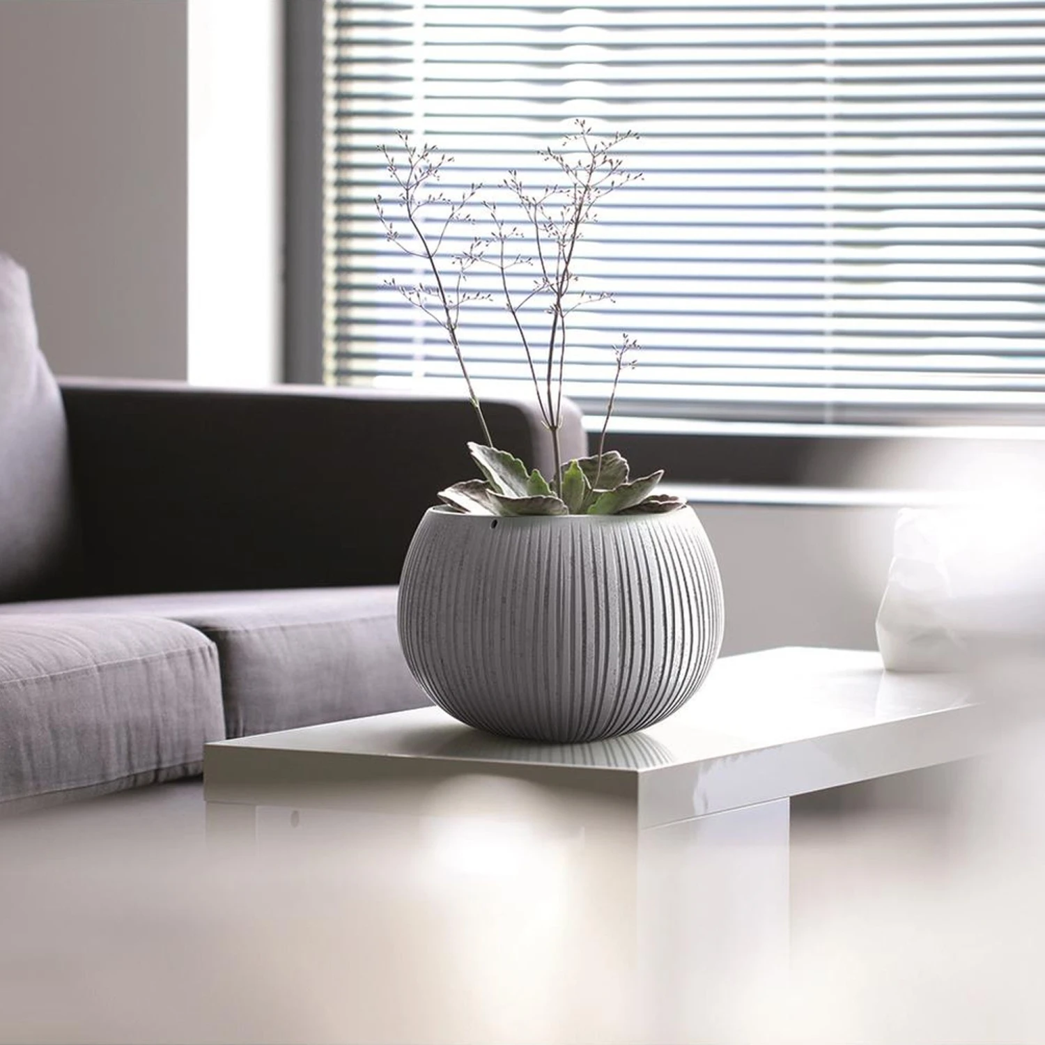 Prosperplast Breton Bowl Con Deposito 5 Prosperplast Breton Bowl Con Deposito - Imagen 3