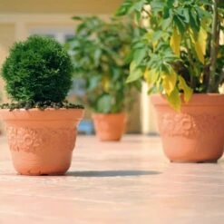 Prosperplast Maceta SUNNY 60L 570x570x435 Ladrillo -Jardín Series Tienda eaf2ffc703a3482f