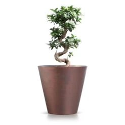 Prosperplast Maceta TUBUS CORTEN 12L 300x300x280 Cobre -Jardín Series Tienda f1dfc2167a251ca2